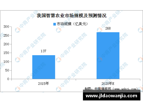 NBA赛事转播策略分析与未来发展展望